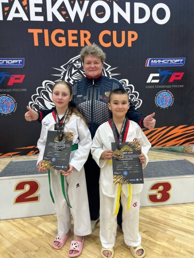 Открытый Фестиваль г. Ульяновска по тхэквондо (ВТФ) «Tiger Cup»