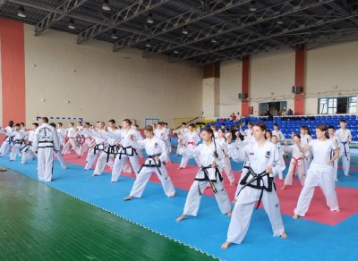 Технический семинар по тхэквондо МФТ