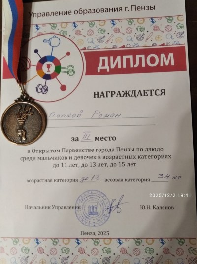 Открытое первенство города Пензы по дзюдо