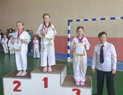 Соревнования по тхэквондо ВТФ, посвященные Дню космонавтики